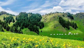 去過(guò)南山好多回,這些地方風(fēng)景如畫(huà),但你都能叫上名字嗎