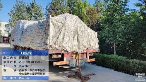 開元展覽 環(huán)保展具跨越山海，綠色理念扎根新疆